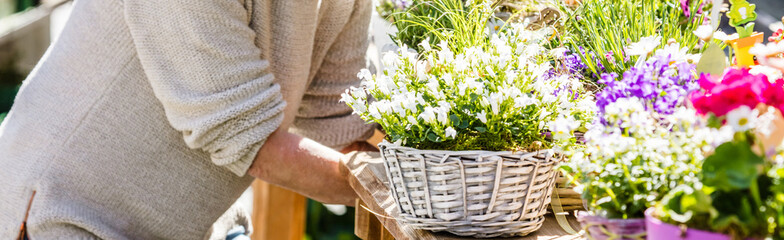 Gartenarbeit und blumen Verkauf