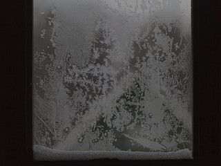 winter patterns on the glass