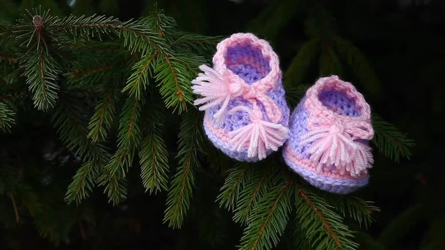 newborn baby wool shoes fir tree spring hd footage 
