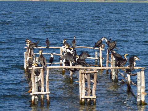 Kombolcha, Ethiopia, Africa