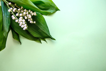 Bouquet of lilies of the valley on a green background