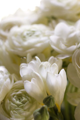 close up of white freesia in a white bouquet