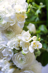 details of a beautiful white bouquet of freesia and buttercups