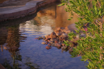 Relax near swimming pool