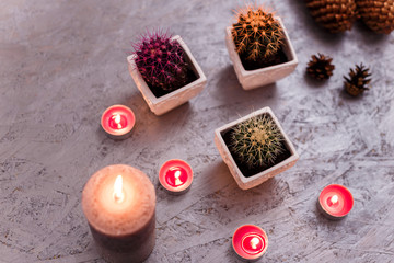 three cactuses in the white flower pots with candles