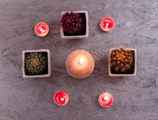 three cactuses in the white flower pots with candles