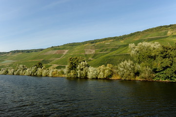 Die Mosel bei Bernkastel-Kues