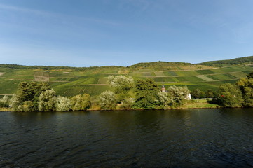 Die Mosel bei Bernkastel-Kues