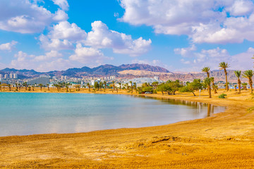 Cityscape of Eilat viewed behind the peace lagoon, Israel