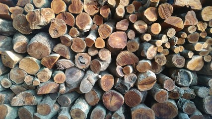 Closeup view of end cut wood tree section with cracks and annual rings