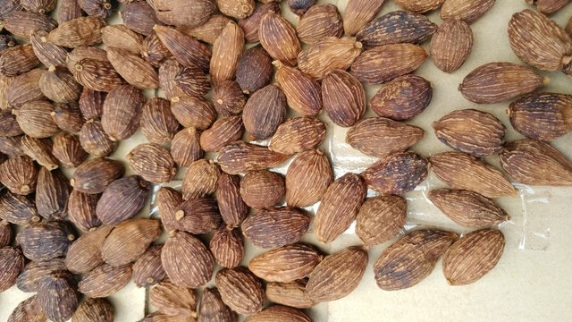 Black cardamom ( Fructus tsaoko) on a white background