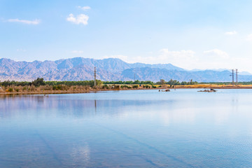 International birding and research center in eilat, israel
