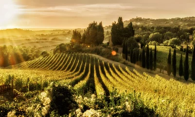 Rolgordijnen Tuscany, field, landscape, nature, italy © Marina