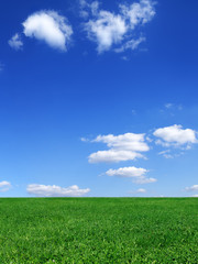 Idyll, green field and blue sky with white clouds