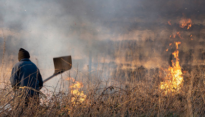 Bursdon Moor, Hartland,North Devon, England, UK. February 2019. Man using a rubber fire beater tool...
