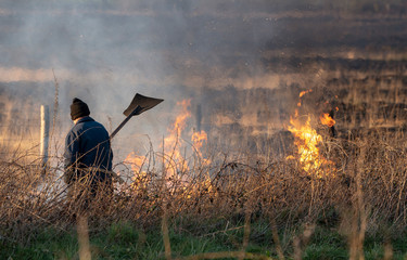 Bursdon Moor, Hartland,North Devon, England, UK. February 2019. Man using a rubber fire beater tool at the annual  burning of gorse and scrub