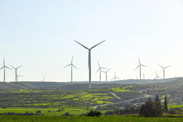 wind turbines in the field