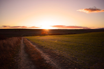 Cielo al atardecer en el mundo rural, sembrados y camino rural