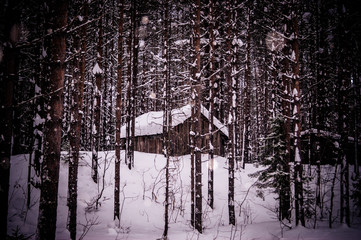 Barn, built in a winter forest in a blizzard