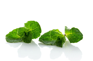 Fresh and aromatic mint leaves close up