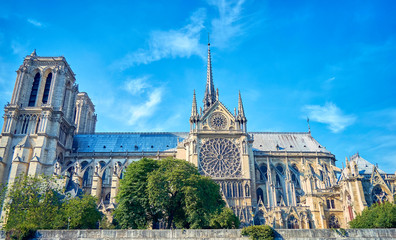 cathedral notre dame