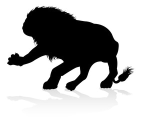 A male lion safari animal in silhouette