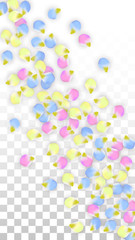 Vector Realistic Colorful Petals Falling on Transparent Background.  Spring Romantic Flowers Illustration. Flying Petals. Sakura Spa Design. Blossom Confetti. Design Elements for Wedding Decoration.
