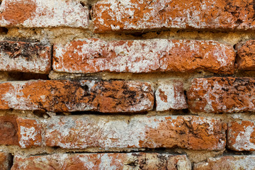 Old brick wall in Wat Thammikarat Ayutthaya, Thailand.