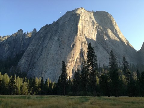 Gran pared de bosque americano