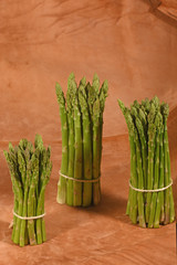 studio images of green asparagus