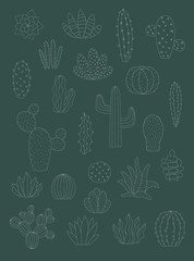 Vector collection of cacti silhouette in white color. Hand-drawn illustration of a cactus in scandinavian style. Summer set for decor, nursery, card, home, interior, print, textile, poster, children