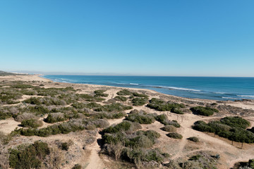 Fototapeta na wymiar Sandy dunes of La Mata, Spain