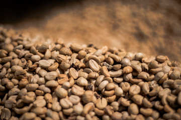 Many raw coffee beans are waiting to be cooked.