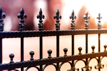 Metal wrought iron fence - 251803234