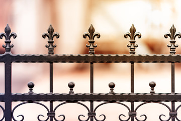 Metal wrought iron fence - 251803240