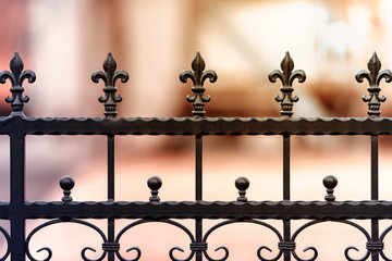 Metal wrought iron fence - 251803246