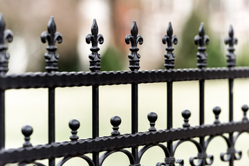 Metal wrought iron fence - 251803460