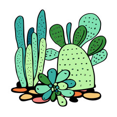 Cactus and succulents. Vector hand drawn outline color sketch illustration
