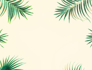 Fototapeta na wymiar Llayout made of green tropical leaves. Minimal summer exotic concept with copy space.