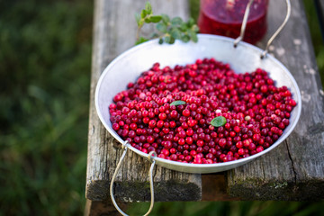 Red lingonberry in an old sieve