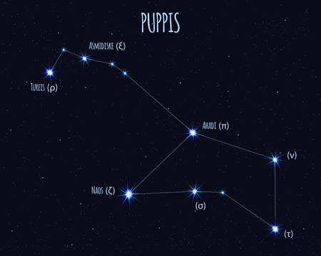Puppis (The Poop Deck) constellation, vector illustration with the names of basic stars against the starry sky