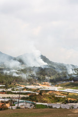 Regulated fire at Langbiang Mountain in Dalat, Vietnam, Asia