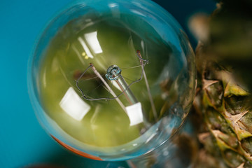 Close up of bulb with a green apple behind it, photographed on a blue background.