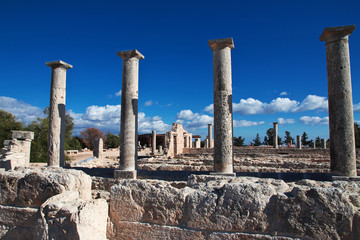 The Sanctuary of Apollo Hylates, Cyprus