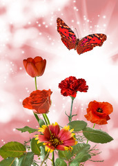 flowers and butterfly in the garden