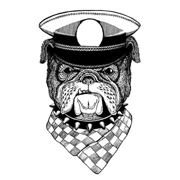 Bulldog Hand drawn vintage image for t-shirt, tattoo, emblem, badge, logo, patch