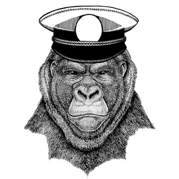 Gorilla, monkey, ape Frightful animal Hand drawn image for tattoo, emblem, badge, logo, patch