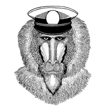 Monkey, baboon, dog-ape, ape Hand drawn image for tattoo, emblem, badge, logo, patch