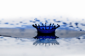 Blue drop on a white background - 251812421