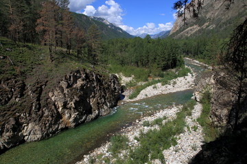 Mountain stream Alla deep in the valley of the mountains of the Barguzin range on a summer day